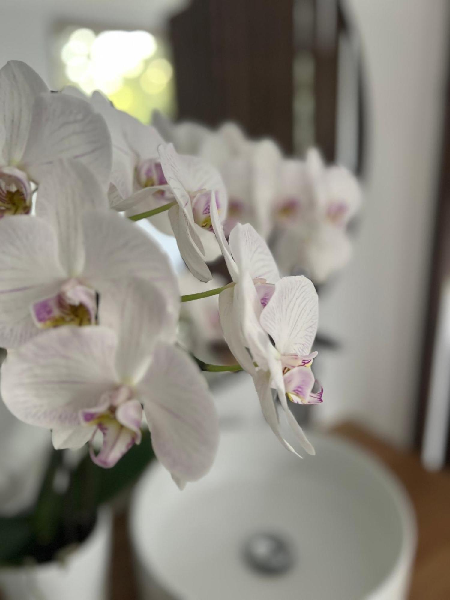 La Canopee Private Ecolodges Nimes Bagian luar foto